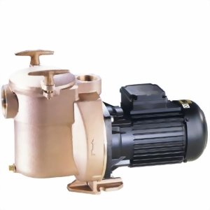 Pentair Sta-Rite Ersatzmotor für Pumpen D-1