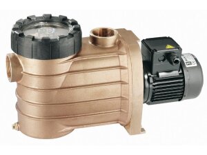 Speck BADU 22 m³/h 230/400 V Filterpumpe Bronze 22