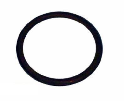 Astral O-Ring für Ersatzlampe 62.2219 Maß 100, 96 x 5,33 mm VA