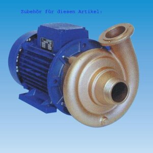 Pumpen-Saugstutzen 2 1/2"