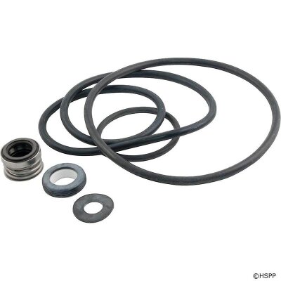 Pentair Dichtungssatz Pumpe SuperFlo