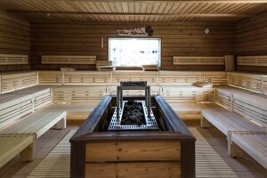 EOS Saunaofen Goliath Profi Standofen