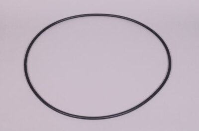 O-Ring für V4A Behälter 500 mm 07490R0012 R14202