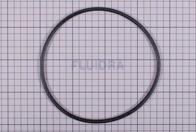 Sandy O-Ring für Ventil