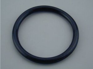 Astralpool O-Ring für Lampe 134 (110)  x 11 mm