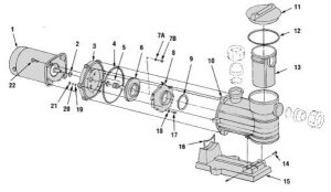 Sta-Rite Ersatzteil Vorfilterkorb für 5MPRC-3B