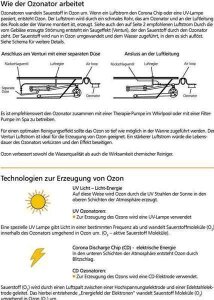Balboa Whirlwannen Ozonator 50mg/h, inkl. Trafo und 1,5m Schlauch inkl. Rückschlagventil