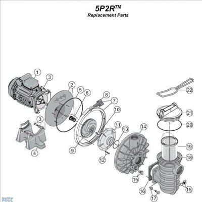 Sta-Rite O-Ring Pumpenplatte 5P2R + 5P4/6RPumpe R39006000#  früher U9-228A