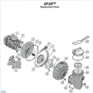 Sta-Rite Gleitringdichtung 5P2R + S5P2R Pumpen ab 04/2009 (ab Seriennr. 091060000)