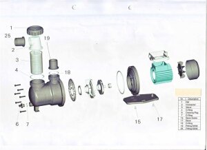 Saugsieb für Schwimmbadpumpe Fasatech SPS