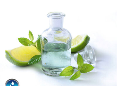 WDT Duft-Konzentrat Eismeer (-minze) 3 Liter