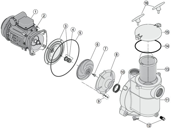 Pentair Sta-Rite Umkehrleitrad für Pumpen 5BRB + C