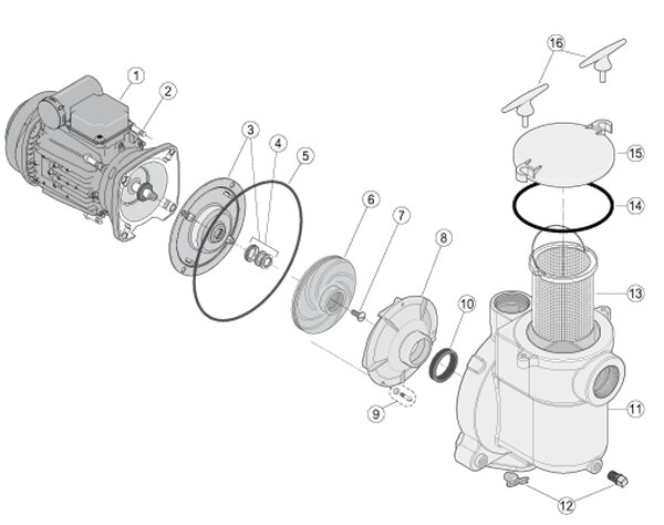 Pentair Sta-Rite O-Ring für Vorfilterdeckel Bronzepumpe