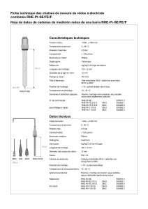 Prominent RH-Elektrode 150703 RHE-Pt-SE