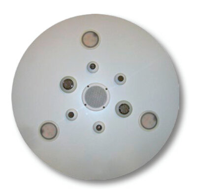 WDT Deckenelement PVC weiss d800mm 2cm mit Licht