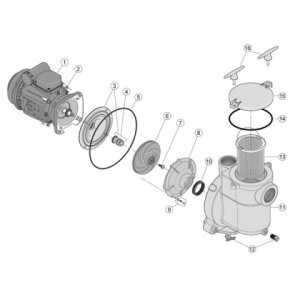 Stta-Rite Entleerungsstopfen für Pumpe 5 BR 5 E-3