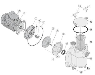 Sta-Rite Pumpenplatte Bronzepumpen D, E + F