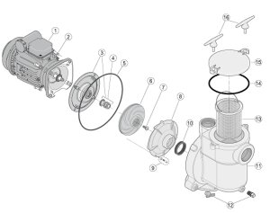 Sta-Rite Pumpenplatte Bronzepumpen D, E + F