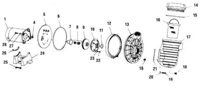 Sta-Rite Siebkorb für Pumpen 5P2R +  5JWP + 5BR