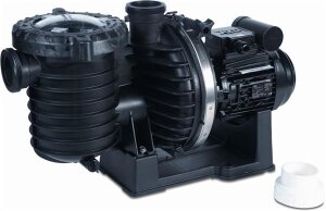 Sta-Rite 5P6RF-1 Kunststoffpumpe1,1 kW 230 V 24,5 m³/h