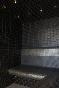 Aktion Harvia HGX Dampfbadgenerator Helix