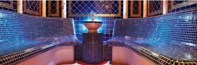 WDT Dampfbad Drehzahlregler für Lüfter