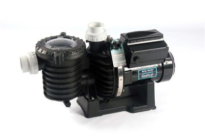 Sta-Rite SW5P6RD Meerwasser Kunststoffpumpe Schwimmbad Pumpe 230 V