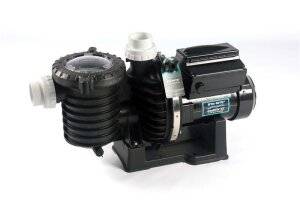 Sta-Rite SW5P6RD Meerwasser Kunststoffpumpe Schwimmbad...