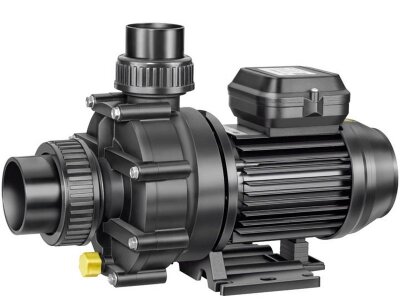 Speck BADU 46/10 Schwimmbad Umwälzpumpe Whirlpoolpumpe 230 V