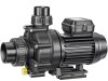 Speck BADU 46/5 Schwimmbad Umwälzpumpe Whirlpoolpumpe 230 V