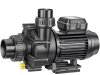 Speck BADU 47/10 Schwimmbad Umwälzpumpe Whirlpoolpumpe 230 V