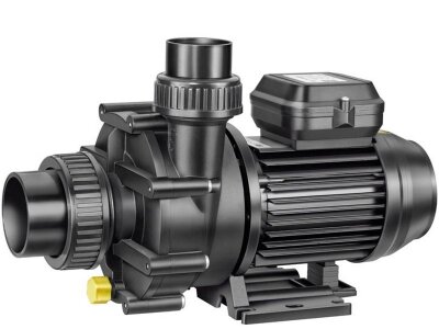 Speck BADU 47/22 Schwimmbad Umwälzpumpe Whirlpoolpumpe 230 V