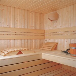 Saunatop Elementsauna Fichte Design Premium