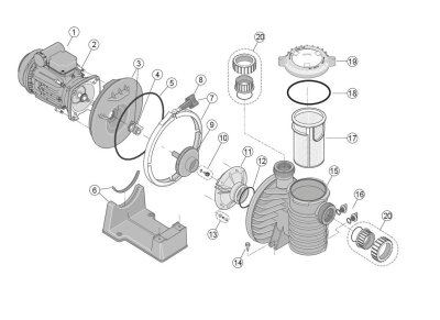 Sta-Rite Ersatzteil Laufradschraube Impellerschraube für MAX-E-PRO-5P6R 1,1kW Mono und TriPhase
