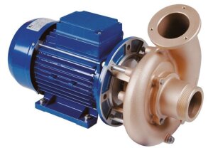 Fitstar Motor für Pumpe FB 65 2,6 kW DS mit Steckwelle