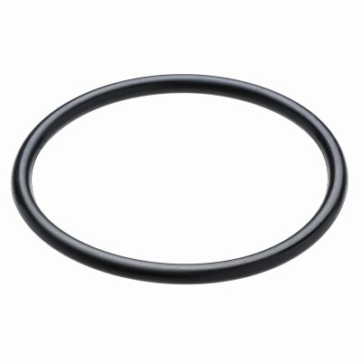 BAYROL Ersatzteil O-Ring für Filter