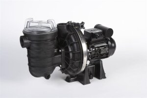 Sonderposten Sta-Rite 5P6R Kunststoffpumpe 0,75 kW 230 V...