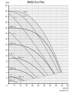 Speck Pumpe Badu Eco Flex