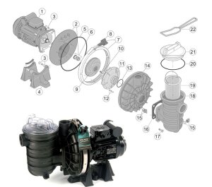 Pentair Sta-Rite Kondensator C1 Duraglas I 5P2R B18116