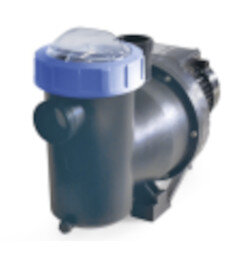 Fluidra ERIE Filterpumpe