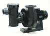 Fluidra BMI Filterpumpe