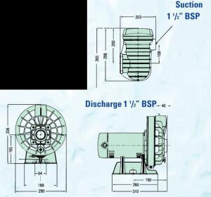 STA-RITE Duraglas Pumpe 5P2RE-1 - 16,5 m3/h 230 V