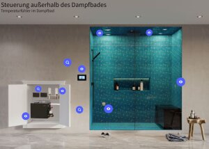 TOLO Farbdisplay+ für Dampfgenerator