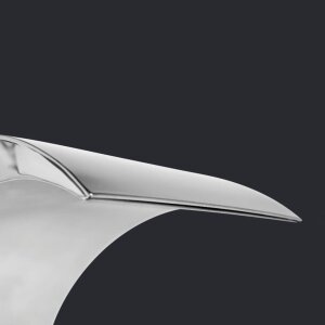 Schwalldusche Nevada V4A | geschwungene Form