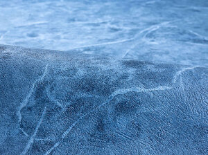 Renolit Alkorplan Alive 1,65 mm Stärke versch. Ausführungen