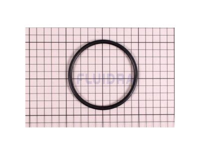 Zodiac Ei 10 Ersatzteil O-Ring für Chlorinator