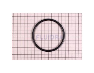 Zodiac Ei 10 Ersatzteil O-Ring für Chlorinator