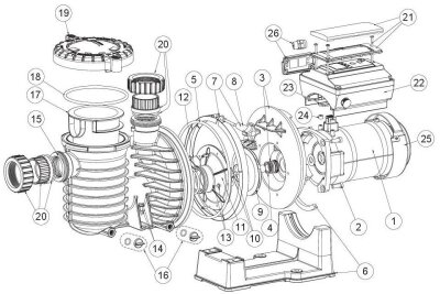 Pentair Intelliflo SW5P6R-VSD O-Ring am Spannring  für Sta-Rite Pumpe