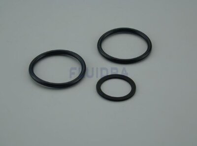 Astral Bilbao Classic Anschlussdichtungen Kessel Mehrwegeventil