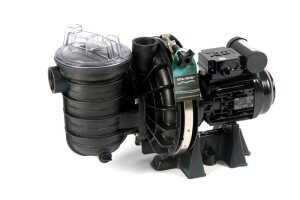 STA-RITE Schwimmbad Pumpe 5P2RF3 400 V 1,1 kW 20 m²